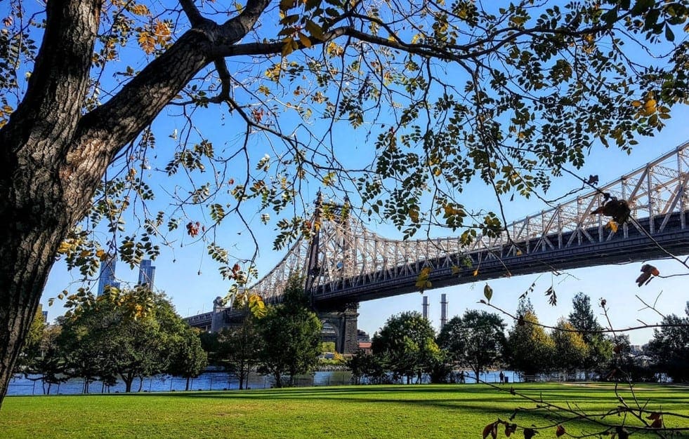 roosevelt_island_1.jpg