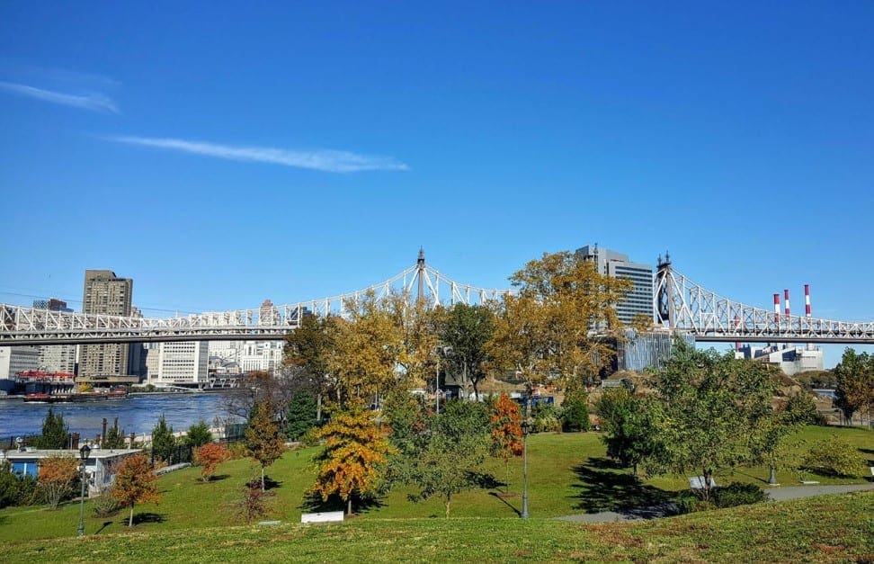 roosevelt_island_7