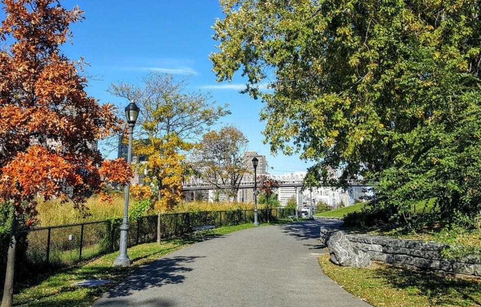 roosevelt_island_8