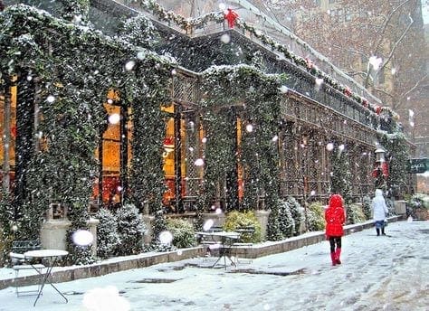 ec6b020e352287d595de60d6dae86d5d--christmas-scenes-winter-christmas.jpg