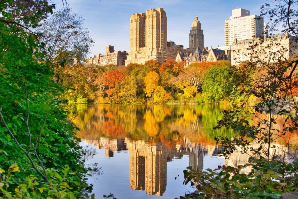 Outono Central Park